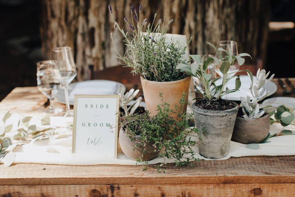 Sweetheart table with potted plants