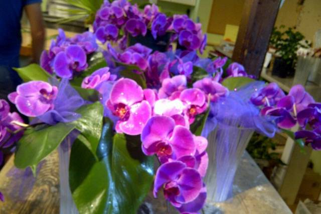 Ruth Chase Flowers