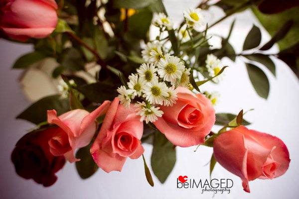beIMAGED Photography