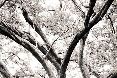 Katie Beyer Photography
