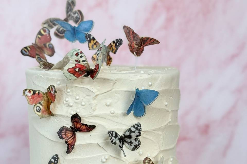 Butterfly in the Sky two tier