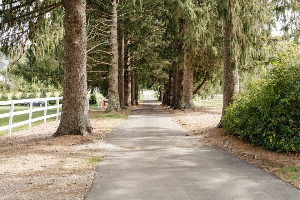 Driveway