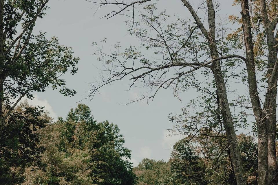 Outdoor ceremony
