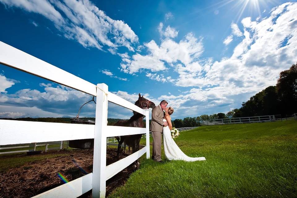 Ashton Farm: Bride & Horse