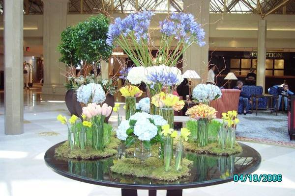 We are the in-house florist of Renaissance Hotel DC (See their lobby for creation display)