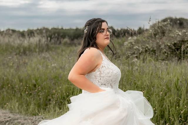 Pictures in the field