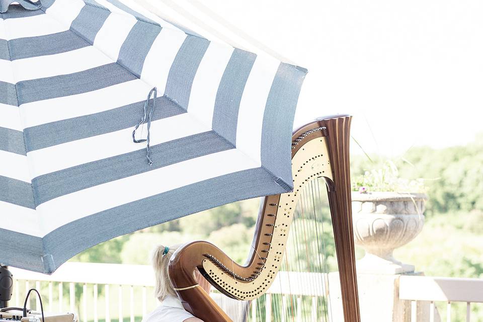 Harpist for Ceremony