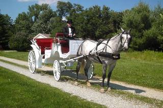 Serenity Farms Carriages