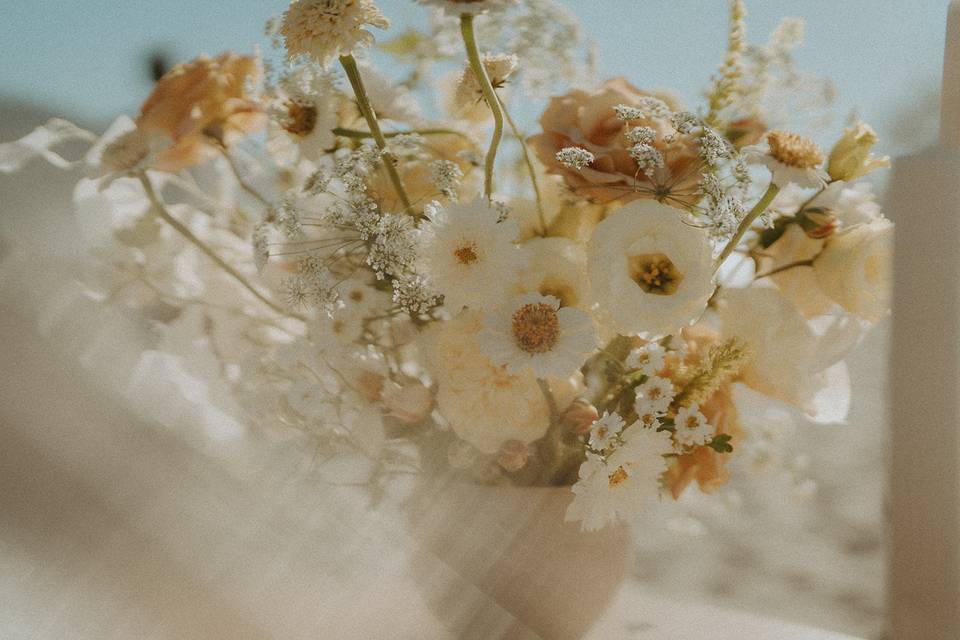 Late summer coastal elopement