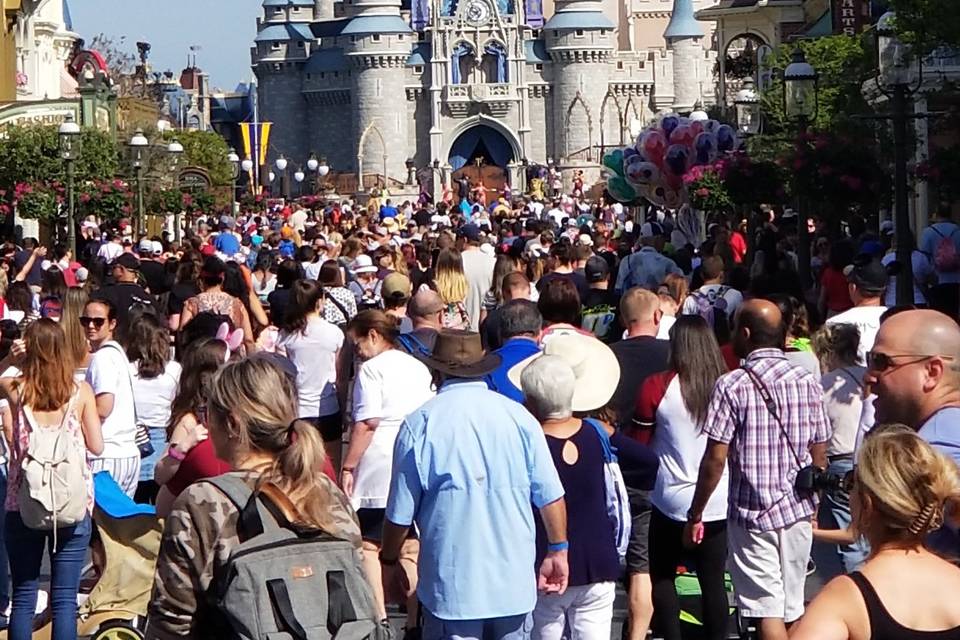 Magic Kingdom