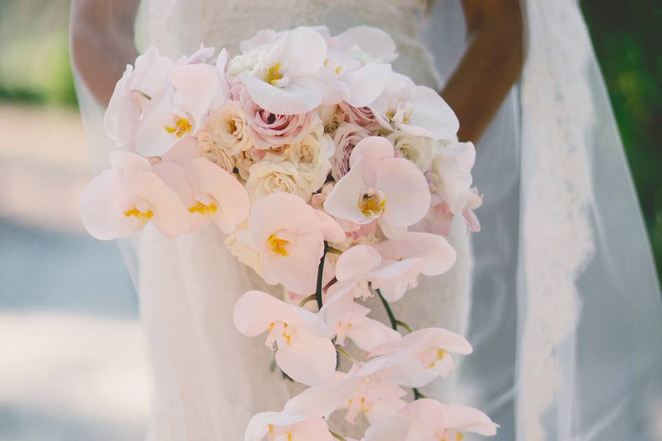 Bride & Blossom