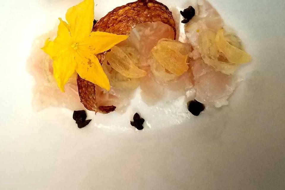 Snapper Crudo