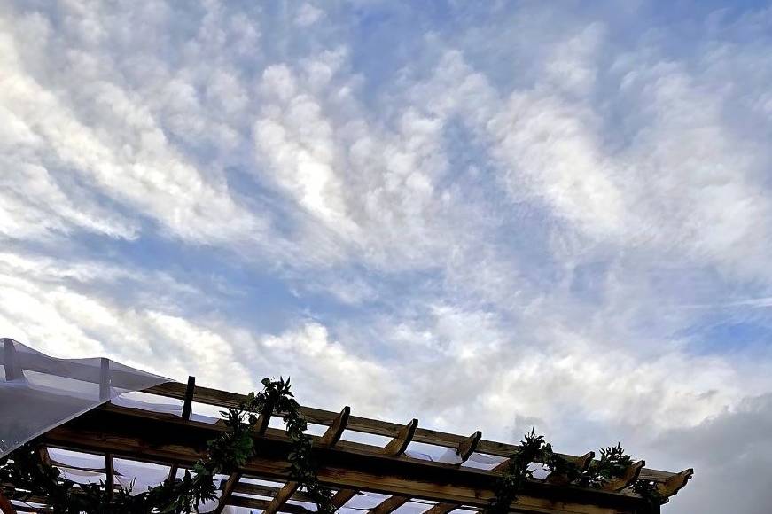 Decorated Patio