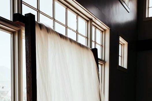 Backdrop (example only)