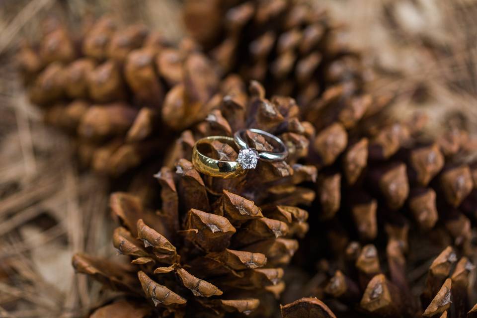 Yosemite Wedding