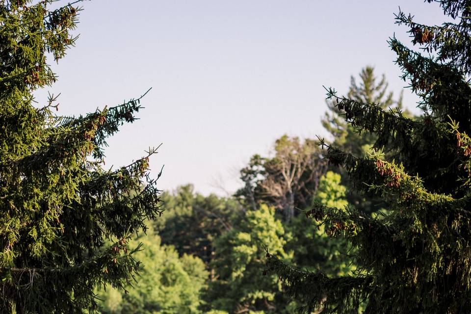 New England Botanic Garden at Tower Hill