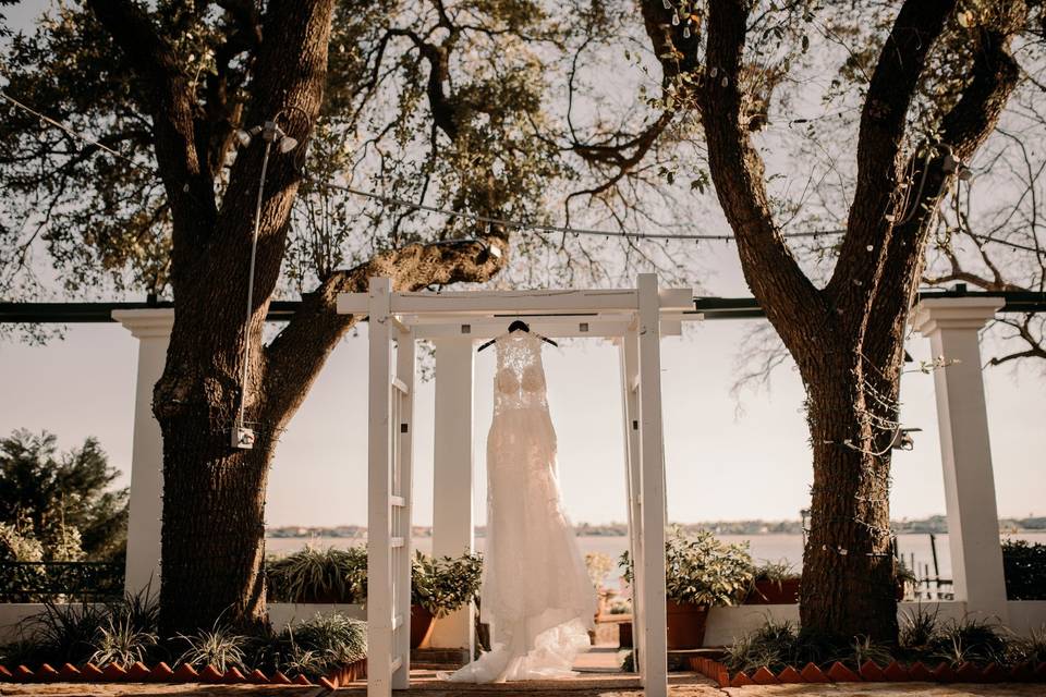 The elegant gown