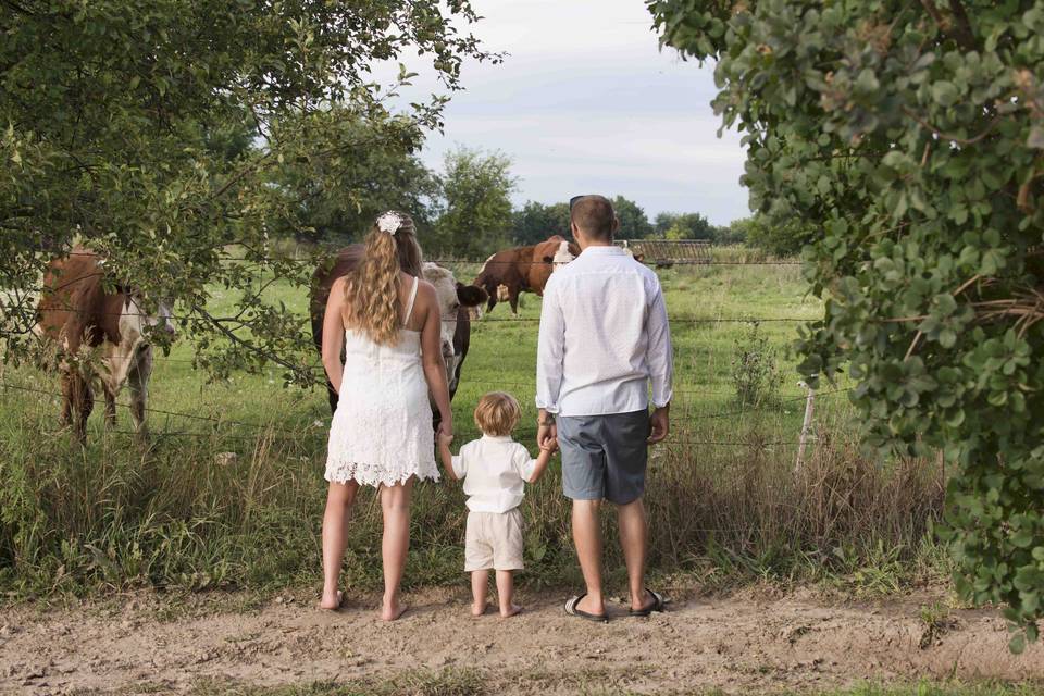 Love on the farm