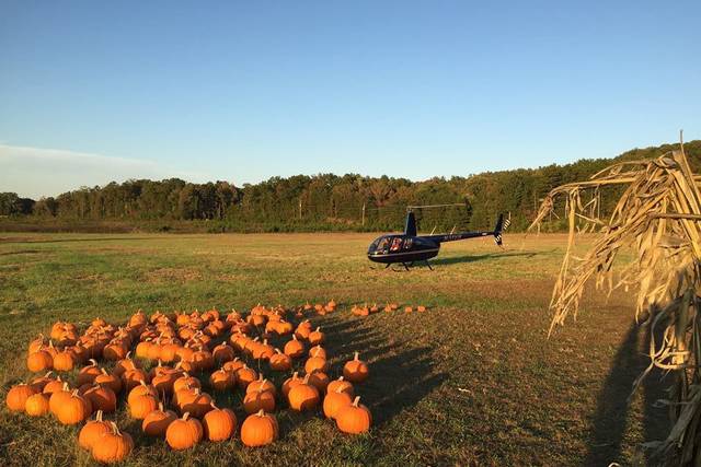 We need 60' X 60' to land