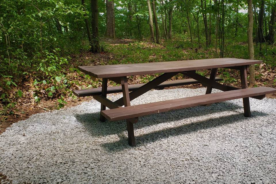 Picnic Table on Trail