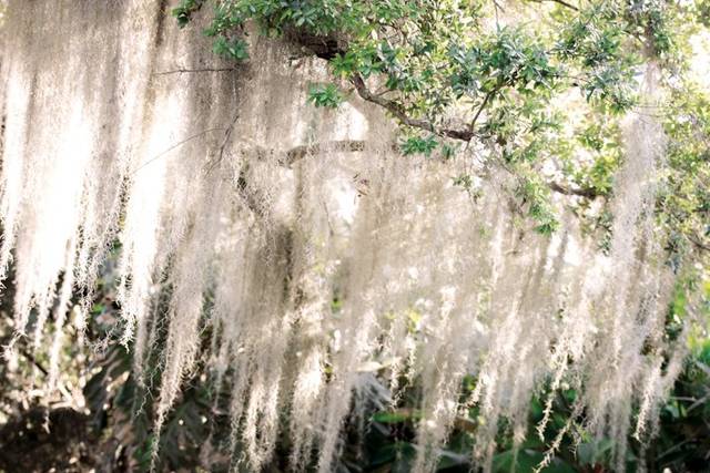 Garden wedding