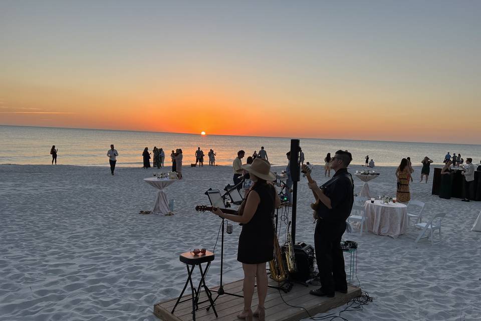 The Talented Wedding Singer