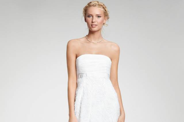 Ann Taylor Wedding Dress