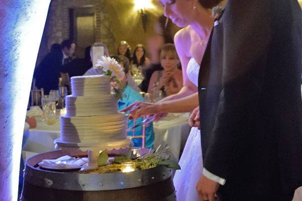 Slicing wedding cake