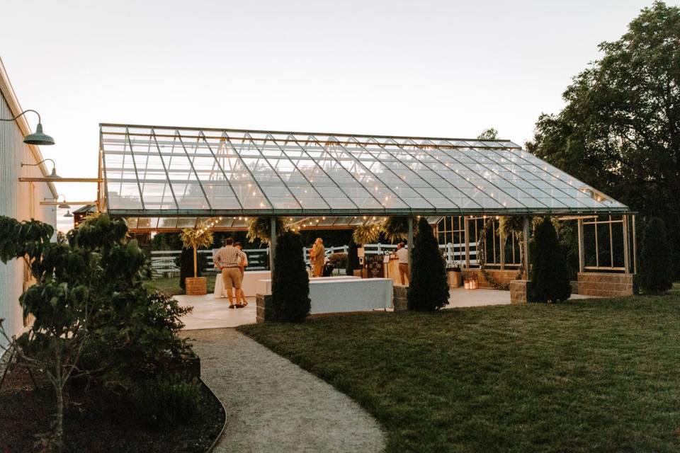 Sunset in the Greenhouse