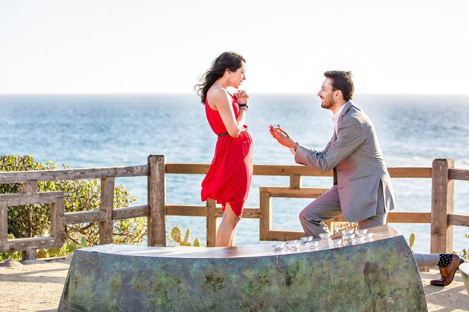 Beautiful proposal overlooking Laguna Beach and Pacific Ocean