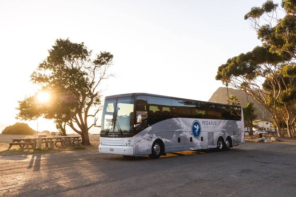 Coach Bus fits 56 passengers