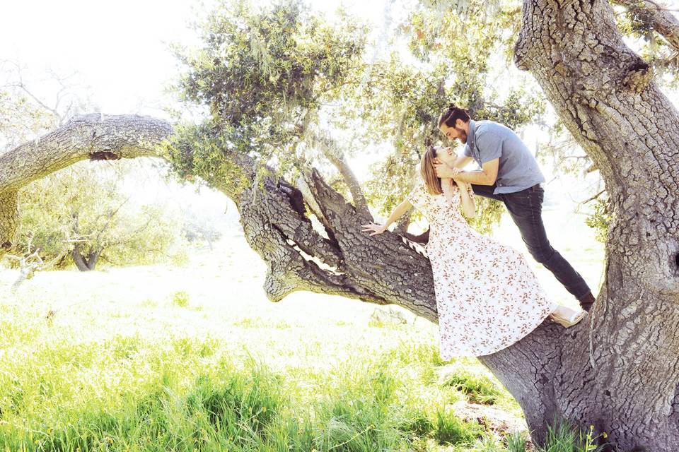 Engagement Photos