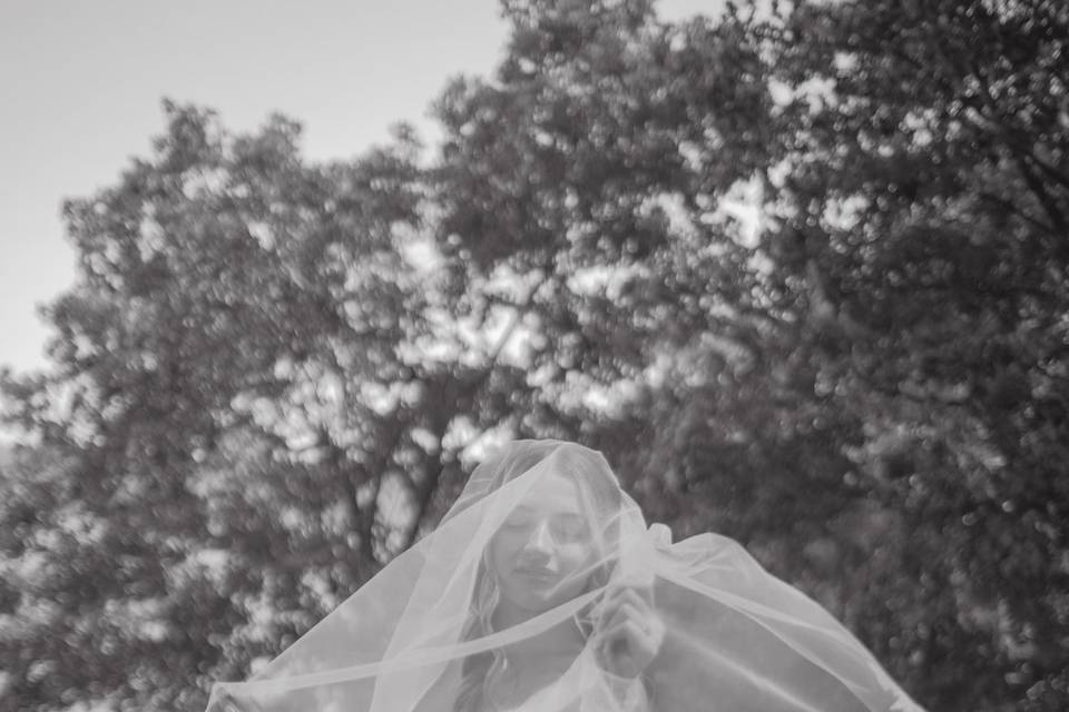Brides Dreamy Photo Under Veil