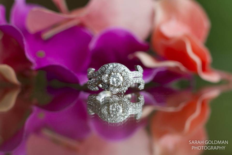 Sarah Goldman Photography