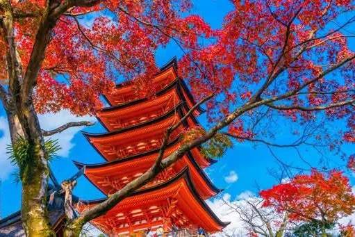 Japón