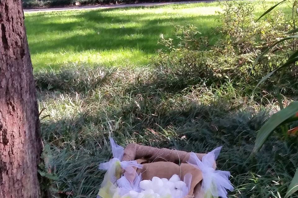 Two Chicks And A Trunk