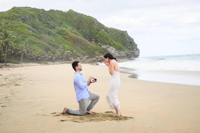 Mauricio proposal