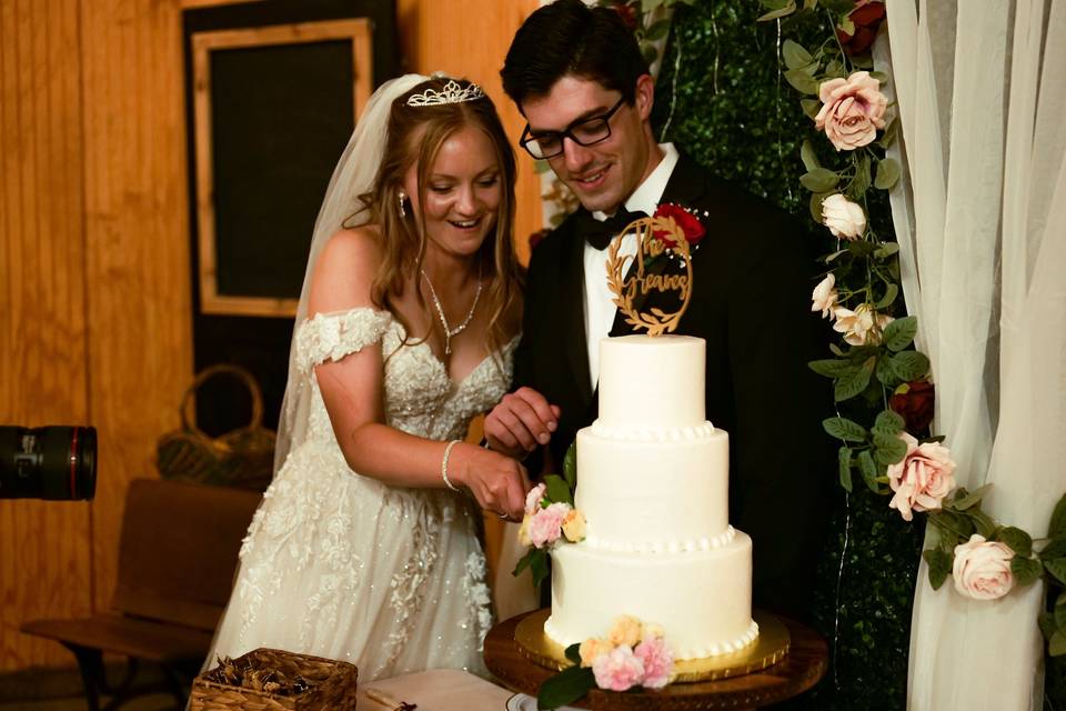 Cake Cutting