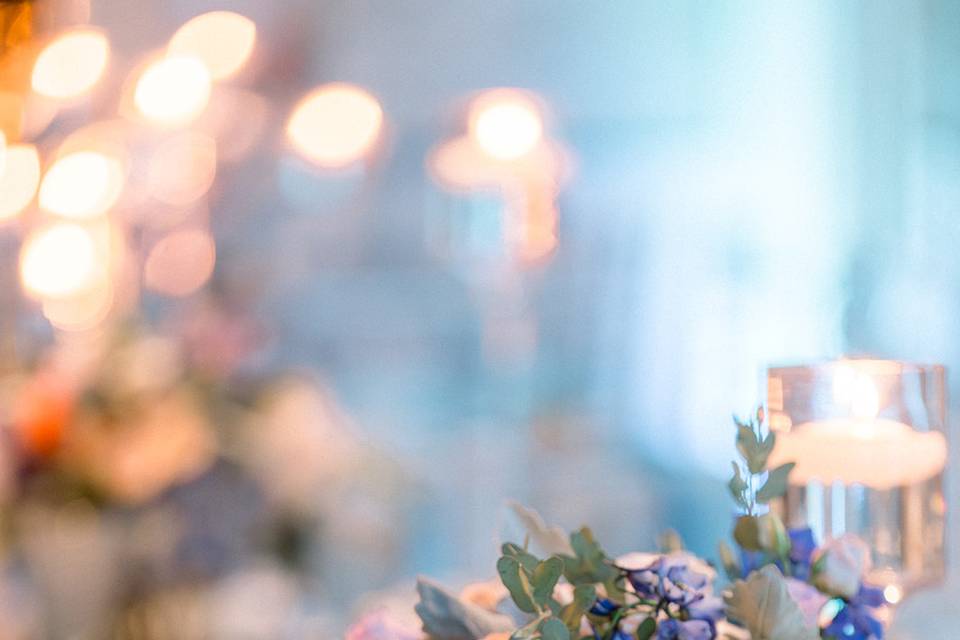 ASHLEY ANDRIES PHOTOGRAPHY