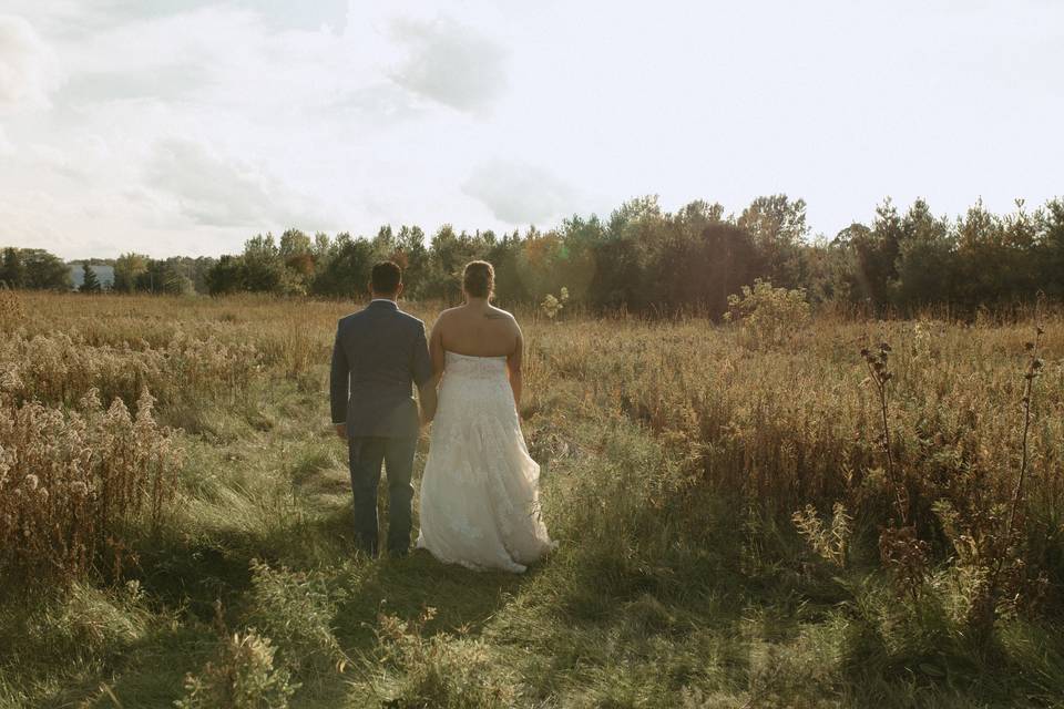 Golden Hour Field