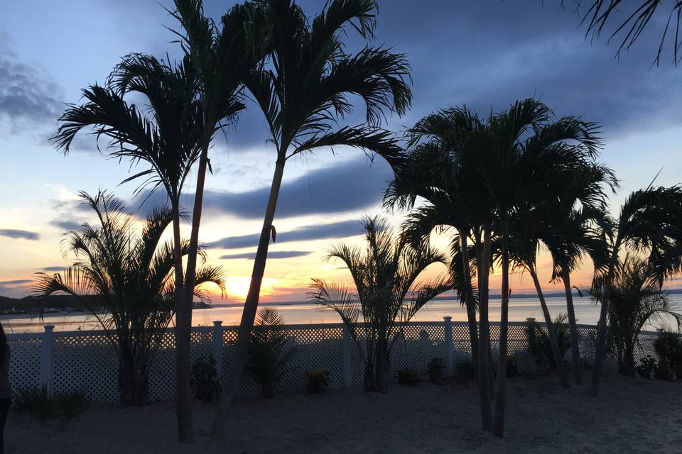 Beachfront Weddings