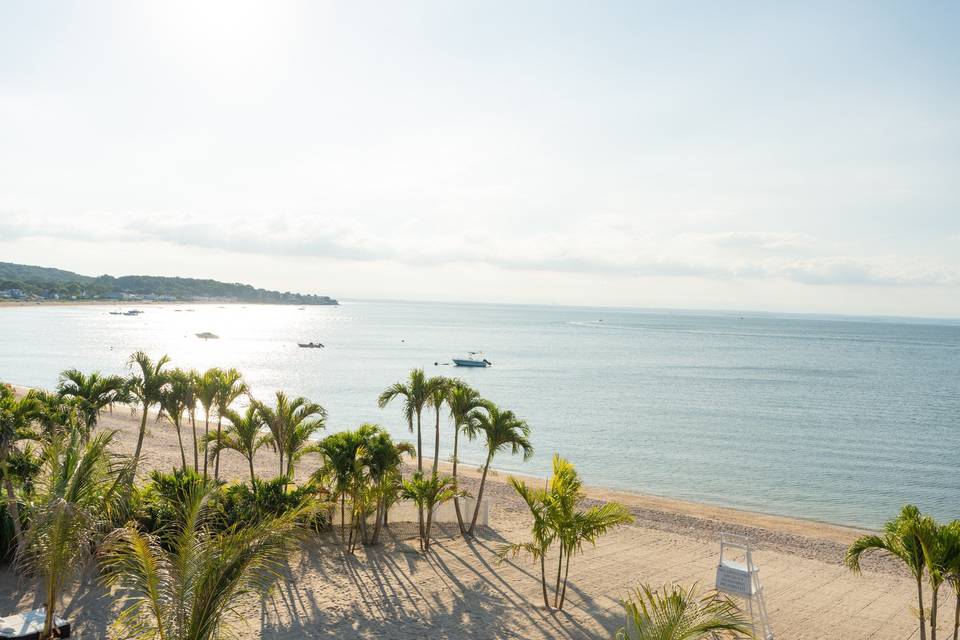 Beachfront Wedding