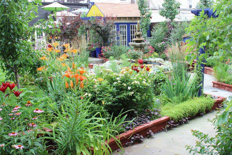 Plants