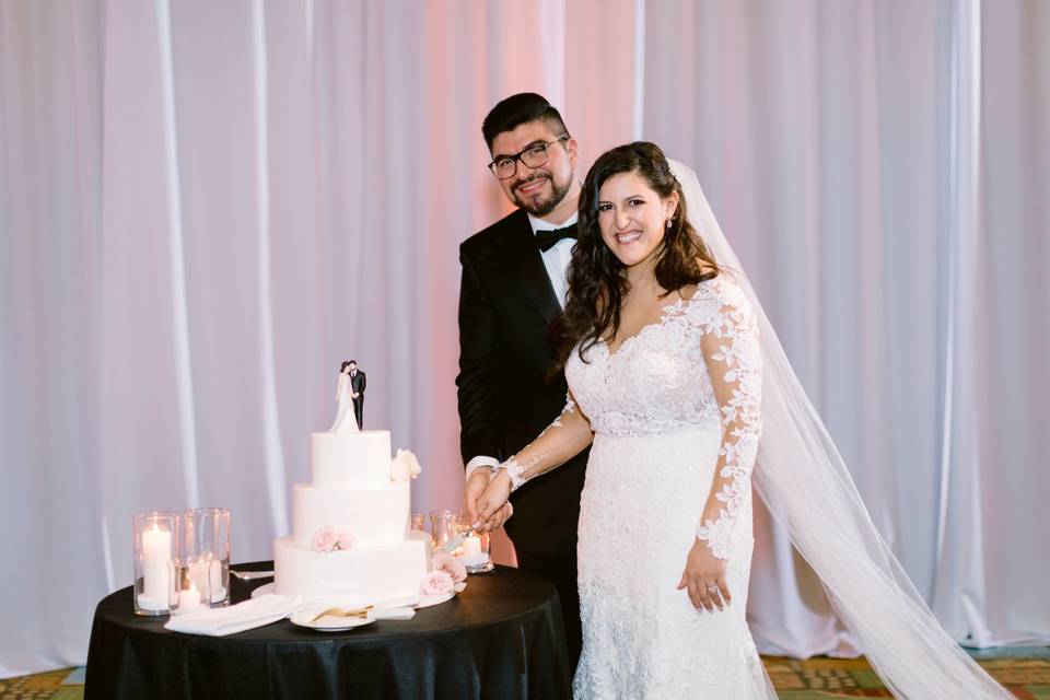 Bride & Groom Cake Cutting