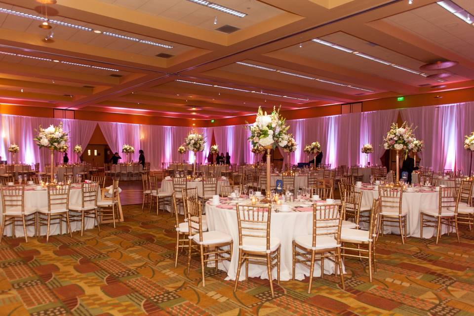 Sublime drape