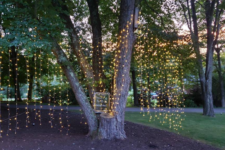 Hickory Hill fairy lights