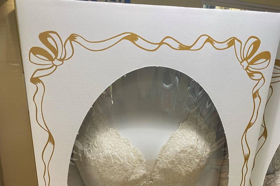 Preserved wedding dress