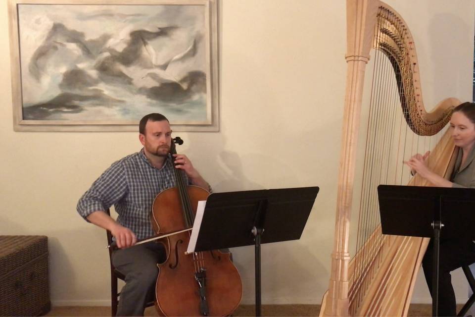 Harp & Cello