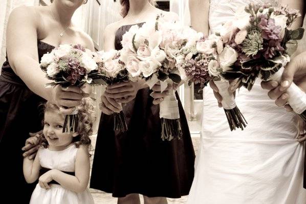 Joy Kollmer Photography