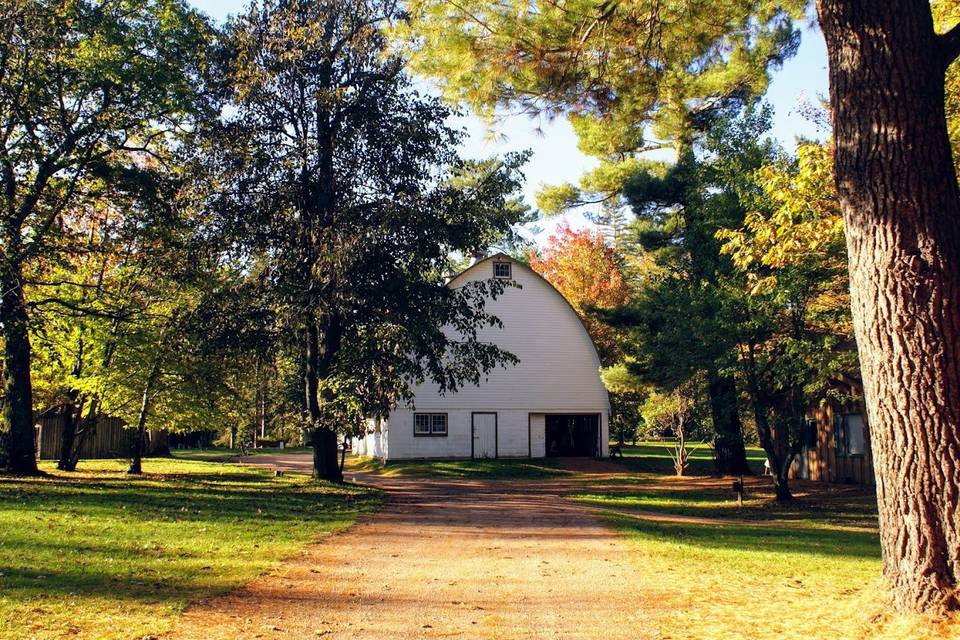 Barn In The Fall